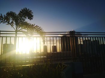 Silhouette palm trees by plants against sky during sunset