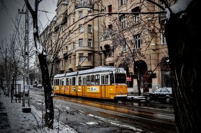 View of cars on street in winter