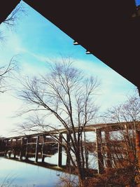 Bare trees against clear sky during winter