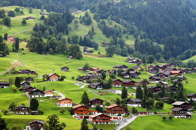 Grindelwald village by trees on grassy field at swiss alps