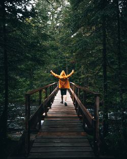 Rear view of man on footbridge in forest