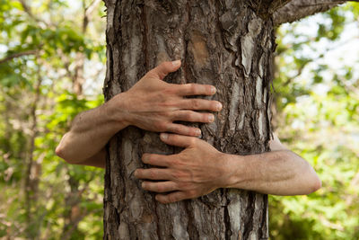 Midsection of man holding tree trunk