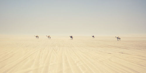 Group of people on desert against clear sky