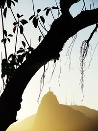 Close-up of silhouette tree against sky