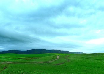 Scenic view of field against sky