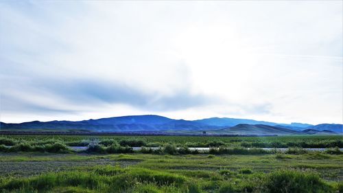 Scenic view of field against sky