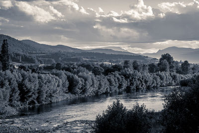 Scenic view of river by trees against sky