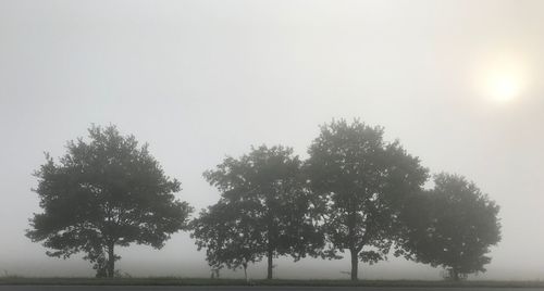 Trees on landscape against clear sky