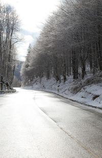 Snow covered road amidst trees during winter