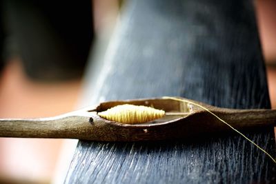 Close-up of string rolled in wooden work tool