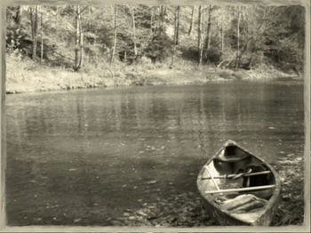 Reflection of trees in calm lake