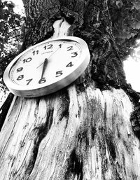 Low angle view of information sign on tree