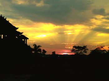 Silhouette of trees at sunset