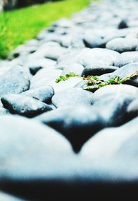 Close up of leaf