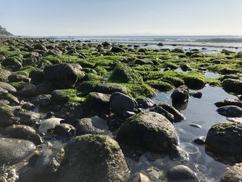 Rocks in sea against clear sky