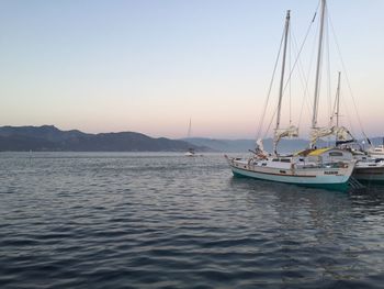 Sailboats sailing in sea against clear sky during sunset