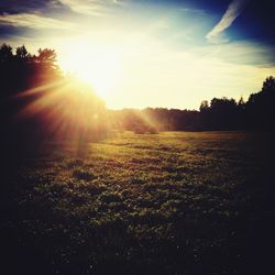 Scenic view of landscape at sunset