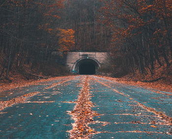 Road amidst trees during autumn against tunnel