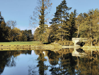 Reflection of trees in lake against sky