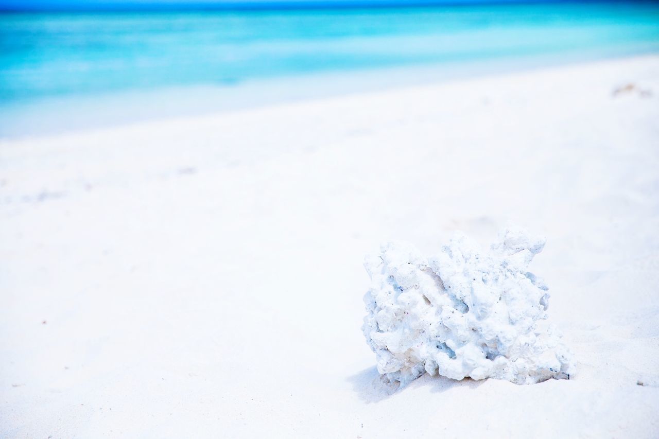 beach, nature, sea, sand, no people, outdoors, day, snow, close-up, cold temperature, beauty in nature