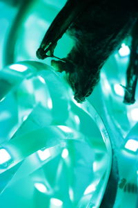 Close-up of plant against blue sky