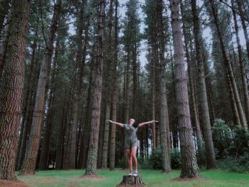 Woman with arms outstretched standing on tree stump in forest