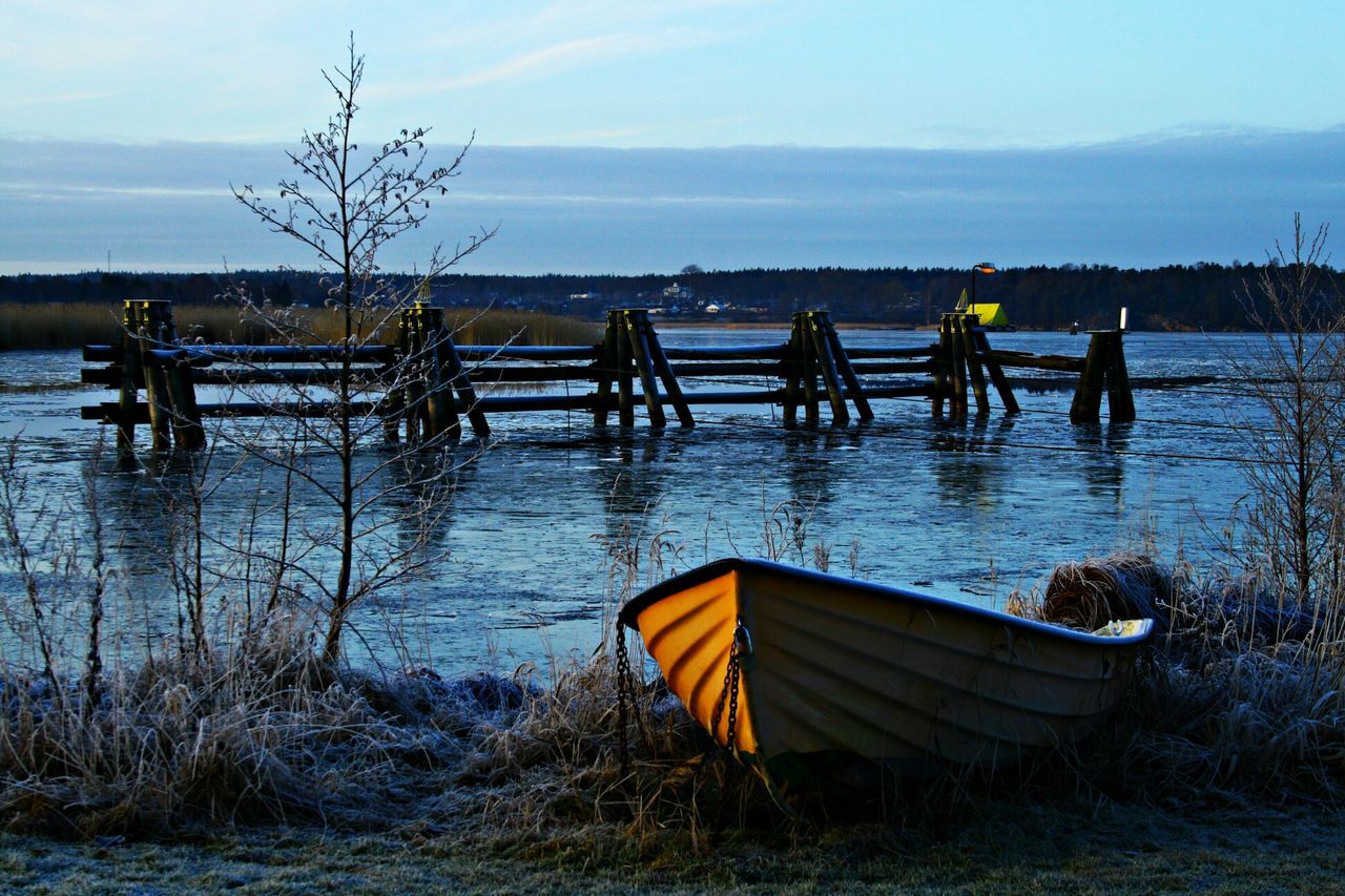 Frosty Morning