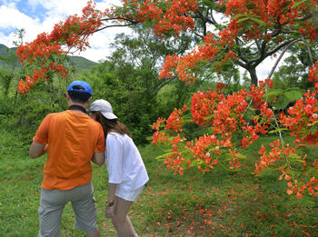 Rear view of man and son on tree