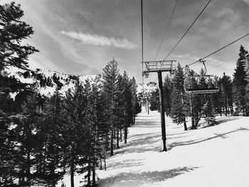 Empty chairlifts amidst trees over snow covered field
