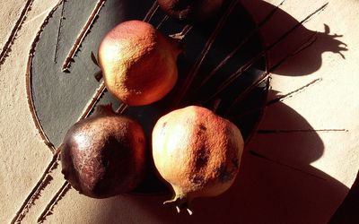 High angle view of fruit on table