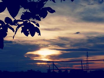 Low angle view of silhouette tree against dramatic sky