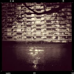 Reflection of buildings in water