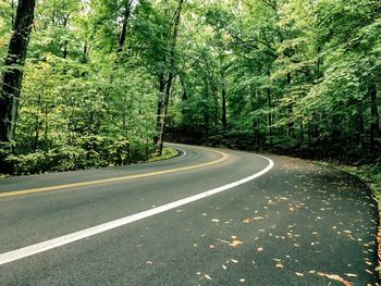 Road amidst trees in forest