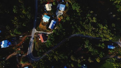 Low angle view of road amidst trees