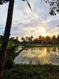 Scenic view of lake against sky during sunset