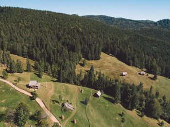 High angle view of trees on field against sky