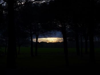 Silhouette trees on field against sky