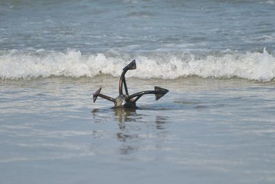 Anchor on sea shore