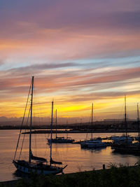 Sailboats moored at harbor during sunset