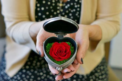 Midsection of woman holding rose at home
