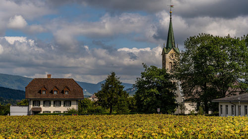 Plants growing on field by building against sky