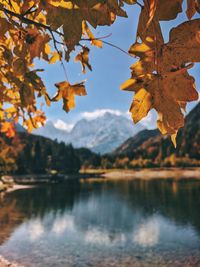 Autumn leaves on lake against sky