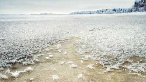 Scenic view of snow covered landscape