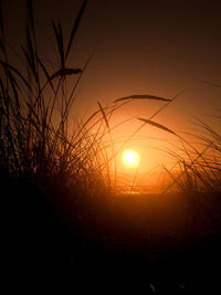 Silhouette landscape against orange sky