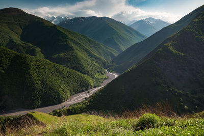 Mountains of chechnya in the caucasus. beautiful gorge