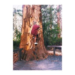 Full length of woman standing on tree trunk