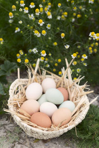 High angle view of eggs in basket