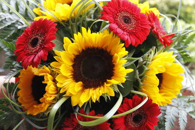 Close-up of sunflowers