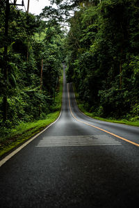 Empty road in forest