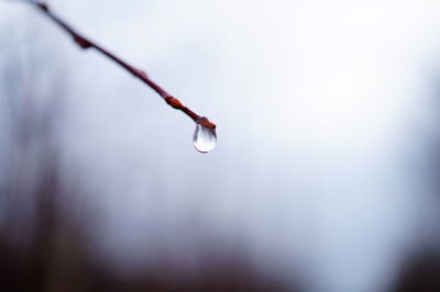 Low angle view of snow against sky